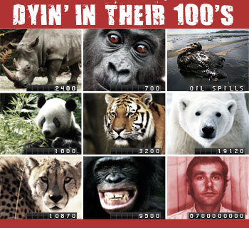 Dyin'in their 100's